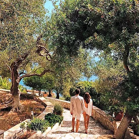 Agali Paxos Hotel Gaios