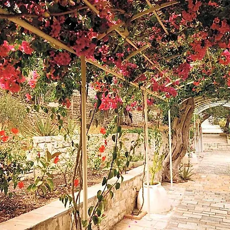 Agali Paxos Hotel Gaios
